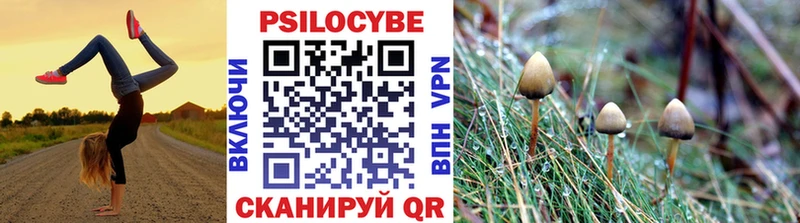 Псилоцибиновые грибы мицелий  где купить наркоту  Гремячинск 