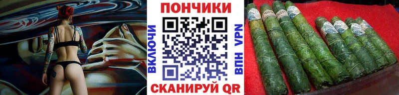 Конопля сатива  Гремячинск 